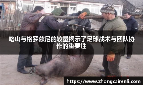 狗万体育